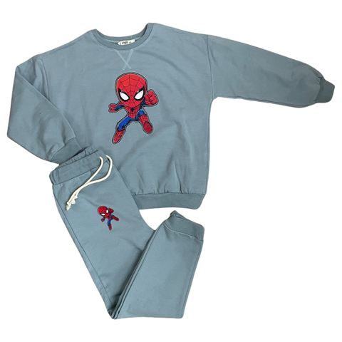 Customized spiderman set