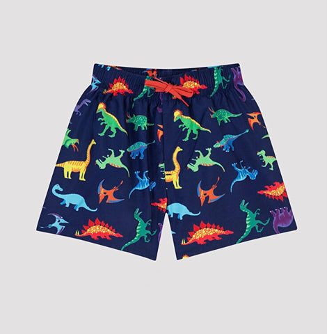 Colorful dino swim shorts