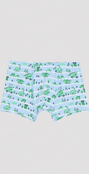 Dino boxers pack of 2