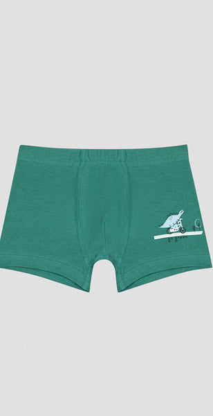Dino boxers pack of 2