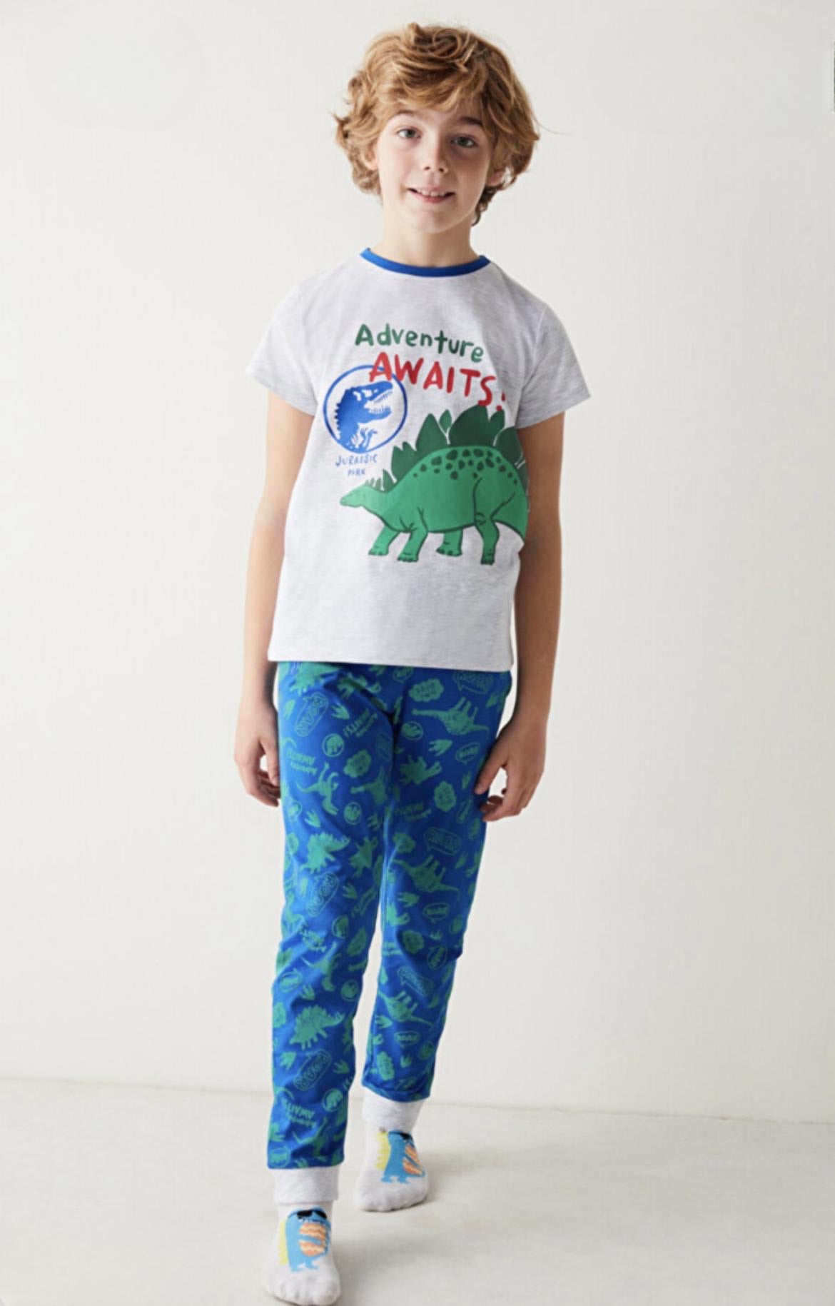 Boys Jurassic park pants set