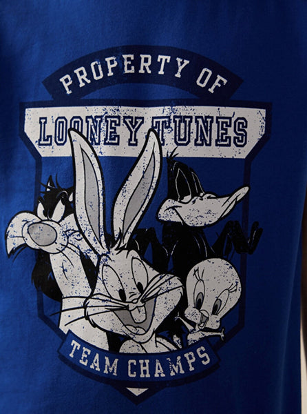 Looney tunes boys short set